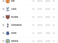 热刺主帅赛后点评球队表现，承诺改善的简单介绍