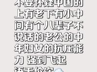 强大对手不容小视，揪心战绩反复脉脉的简单介绍