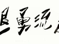 队员进攻应对果敢，赢得时机关键胜利 