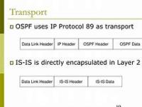isis和ospf区别 ospf和isis详解 