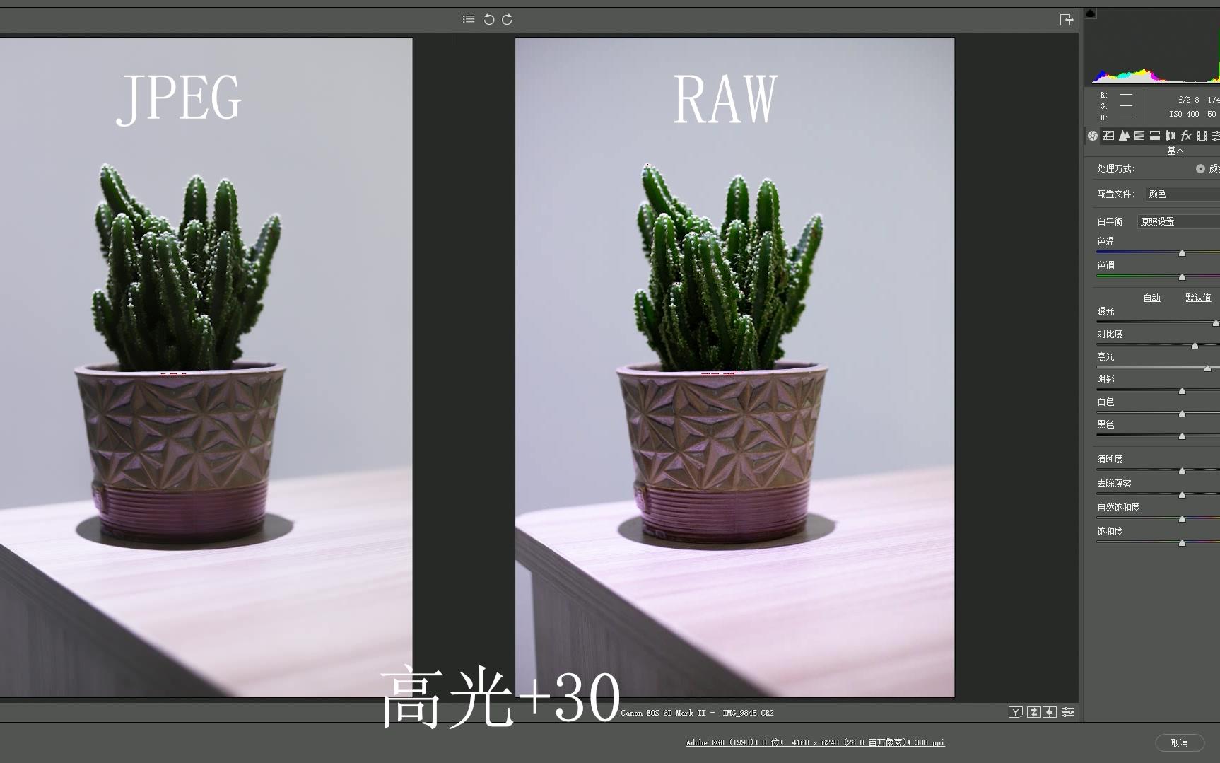 rawpngjpg的区别 raw与png格式两者有何区别 