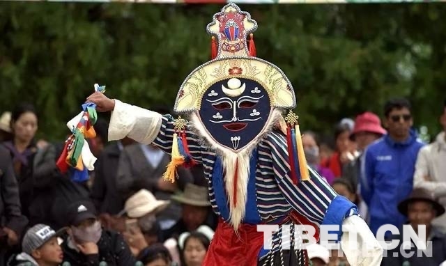 西藏队迎战高手，虽败犹荣表现出色的简单介绍